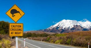 Road Trip: Auckland to Taupo and Central Plateau