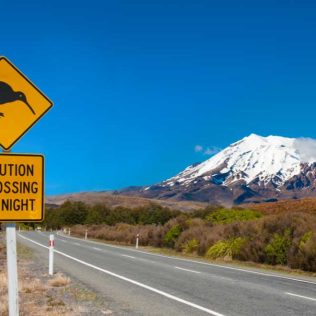 Road Trip: Auckland to Taupo and Central Plateau