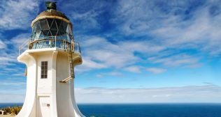 Auckland to Cape Reinga: The Ultimate Road Trip Guide