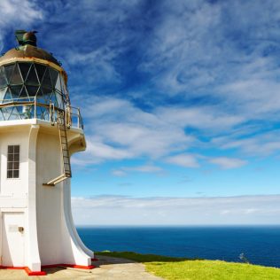 Auckland to Cape Reinga: The Ultimate Road Trip Guide