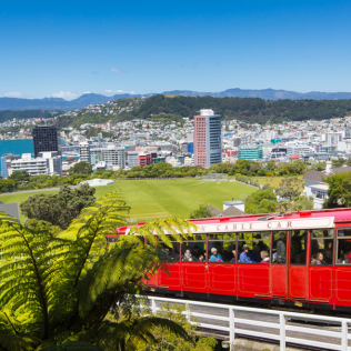 5 Things to do in Wellington